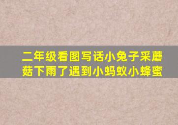 二年级看图写话小兔子采蘑菇下雨了遇到小蚂蚁小蜂蜜