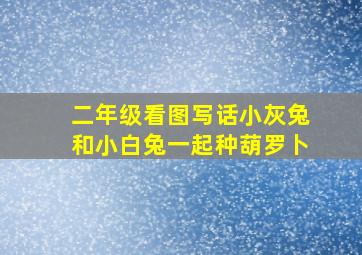 二年级看图写话小灰兔和小白兔一起种葫罗卜