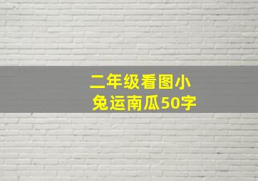 二年级看图小兔运南瓜50字