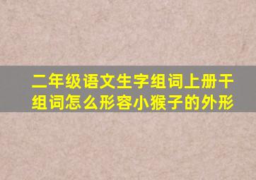 二年级语文生字组词上册干组词怎么形容小猴子的外形