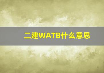 二建WATB什么意思