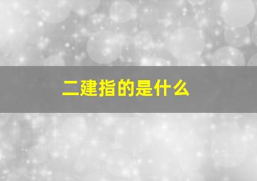 二建指的是什么