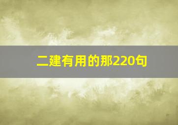 二建有用的那220句