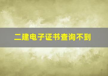 二建电子证书查询不到