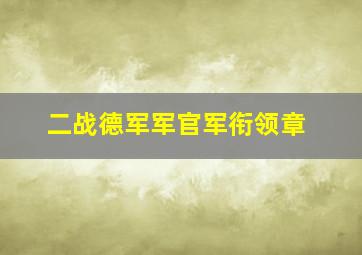 二战德军军官军衔领章