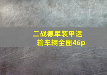 二战德军装甲运输车辆全图46p