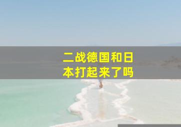 二战德国和日本打起来了吗