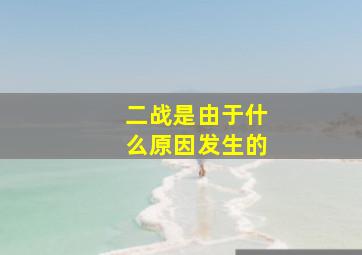 二战是由于什么原因发生的