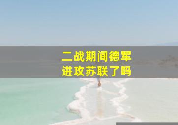 二战期间德军进攻苏联了吗