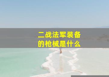 二战法军装备的枪械是什么