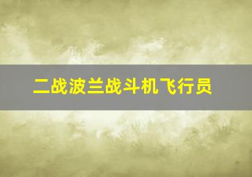 二战波兰战斗机飞行员