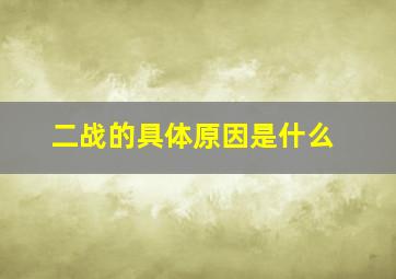 二战的具体原因是什么