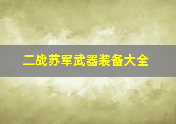 二战苏军武器装备大全