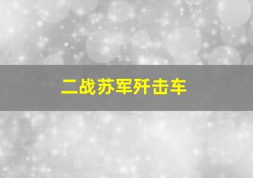 二战苏军歼击车