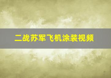 二战苏军飞机涂装视频