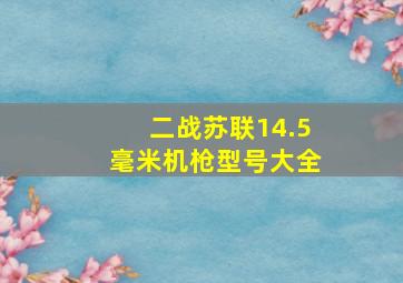 二战苏联14.5毫米机枪型号大全