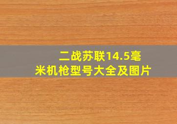 二战苏联14.5毫米机枪型号大全及图片