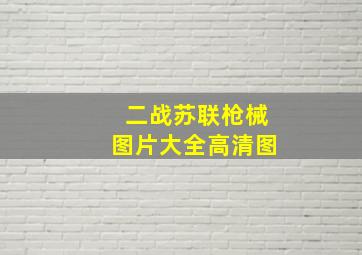 二战苏联枪械图片大全高清图