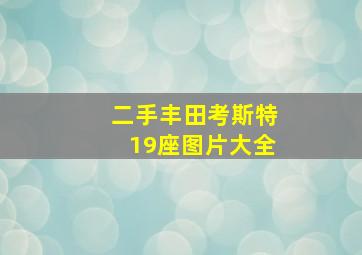 二手丰田考斯特19座图片大全