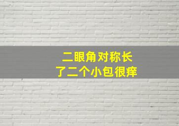 二眼角对称长了二个小包很痒