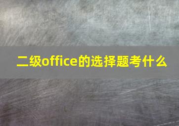 二级office的选择题考什么