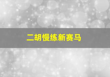 二胡慢练新赛马