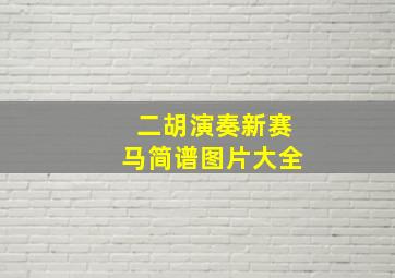 二胡演奏新赛马简谱图片大全