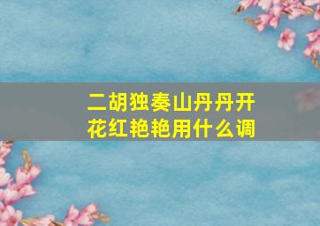 二胡独奏山丹丹开花红艳艳用什么调