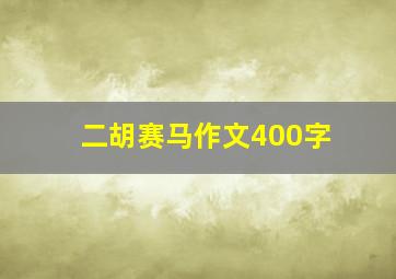 二胡赛马作文400字