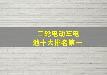 二轮电动车电池十大排名第一