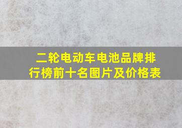 二轮电动车电池品牌排行榜前十名图片及价格表