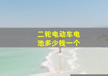 二轮电动车电池多少钱一个