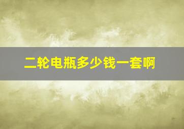 二轮电瓶多少钱一套啊