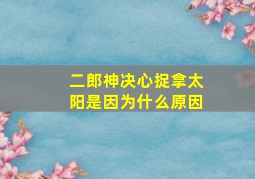 二郎神决心捉拿太阳是因为什么原因