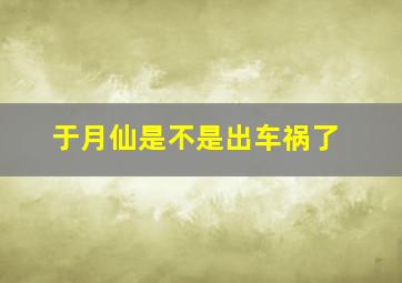 于月仙是不是出车祸了