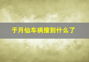 于月仙车祸撞到什么了