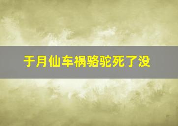 于月仙车祸骆驼死了没