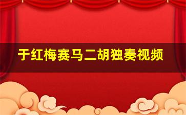 于红梅赛马二胡独奏视频