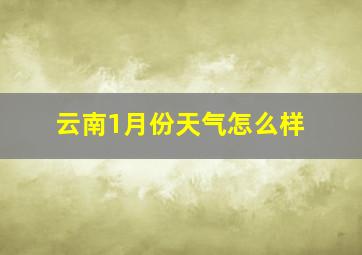 云南1月份天气怎么样