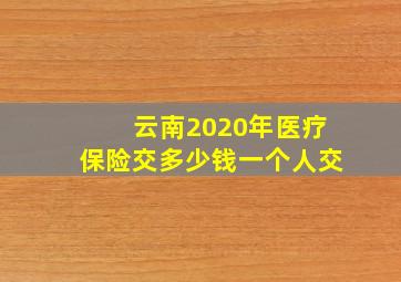 云南2020年医疗保险交多少钱一个人交