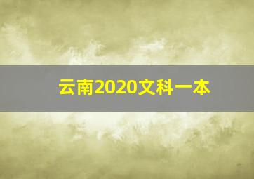 云南2020文科一本