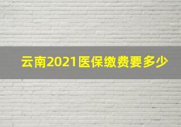 云南2021医保缴费要多少