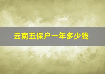 云南五保户一年多少钱