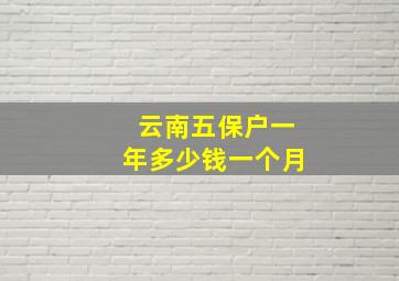 云南五保户一年多少钱一个月