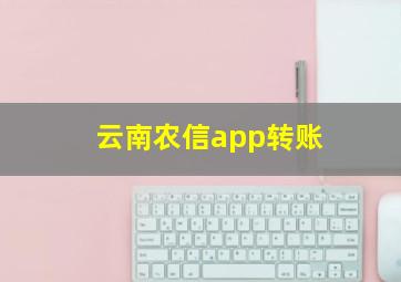 云南农信app转账