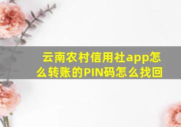 云南农村信用社app怎么转账的PIN码怎么找回