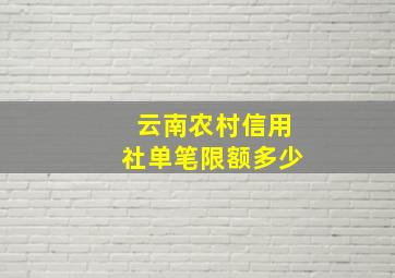 云南农村信用社单笔限额多少