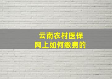 云南农村医保网上如何缴费的