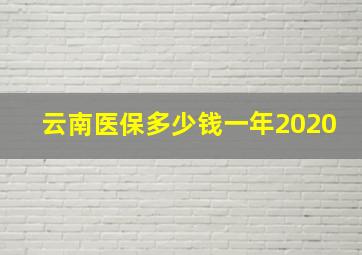 云南医保多少钱一年2020