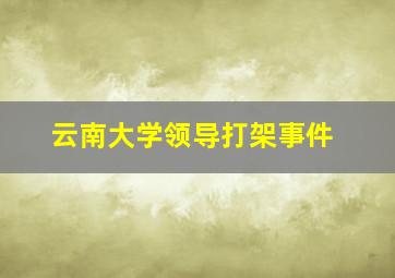 云南大学领导打架事件